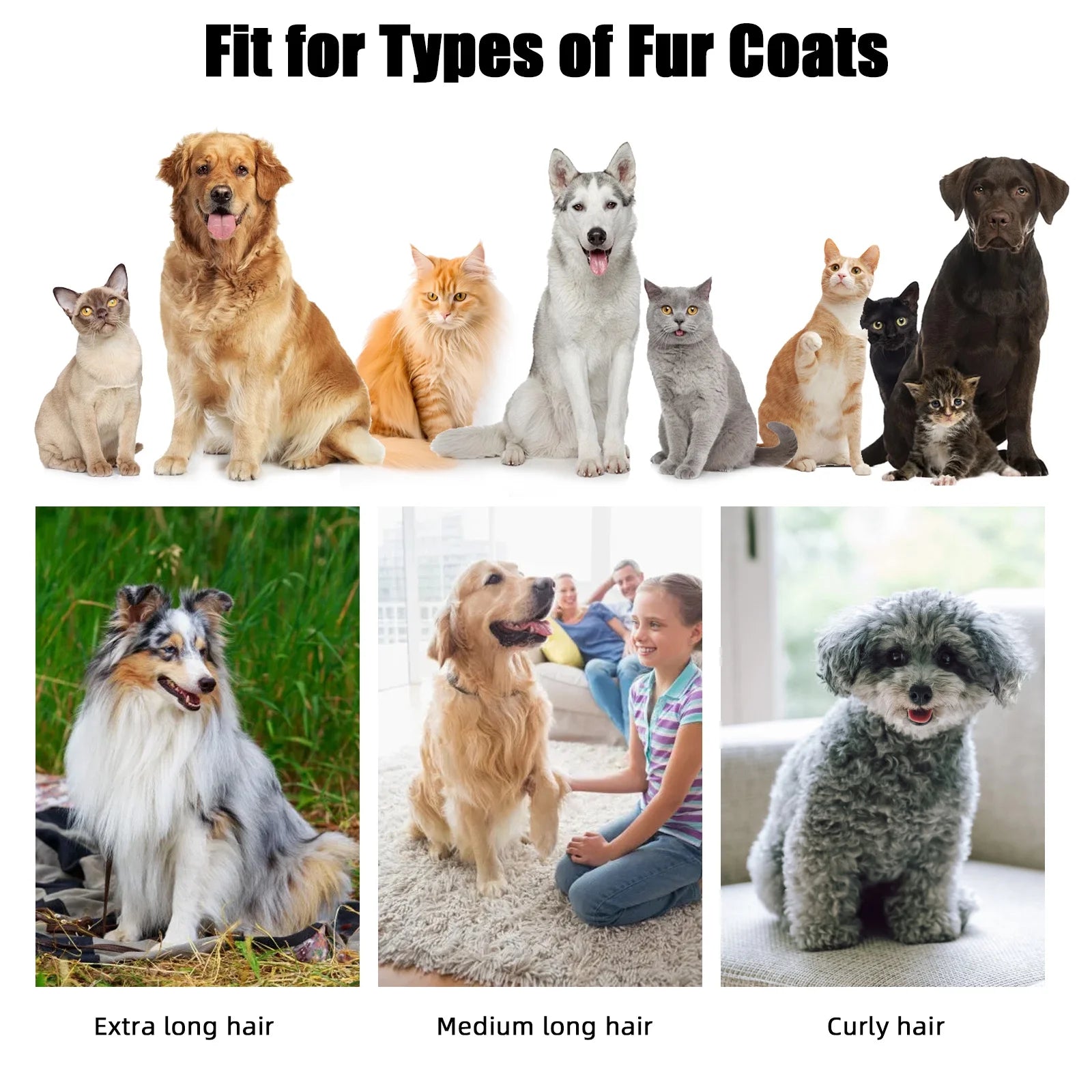 Vacuum Pet Grooming Kit with 12Kpa Maximum Suction Power, 1.4L